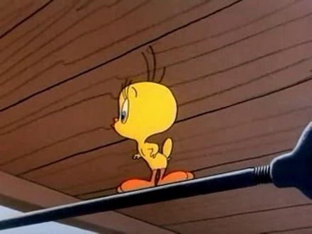 Tree Cornered Tweety