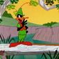 Foto 15 Robin Hood Daffy