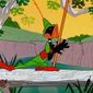Foto 16 Robin Hood Daffy
