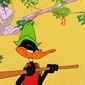 Foto 17 Robin Hood Daffy