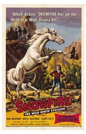 Poster Snowfire
