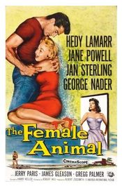 Poster The Female Animal