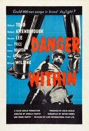 Poster Danger Within