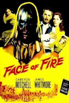 Face of Fire poster