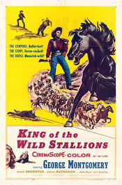 Poster King of the Wild Stallions