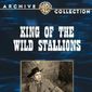 Poster 2 King of the Wild Stallions