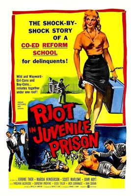 Riot in Juvenile Prison poster