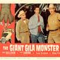 Poster 10 The Giant Gila Monster
