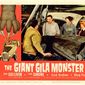 Poster 13 The Giant Gila Monster