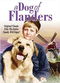 Film A Dog of Flanders