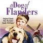 Poster 1 A Dog of Flanders