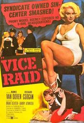 Poster Vice Raid