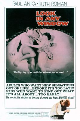 Look in Any Window poster