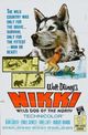 Film - Nikki, Wild Dog of the North