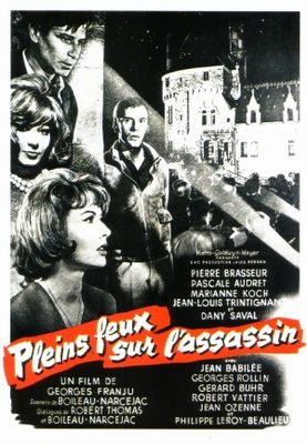 Pleins feux sur l'assassin poster