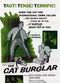 Film The Cat Burglar