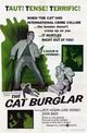 Film - The Cat Burglar
