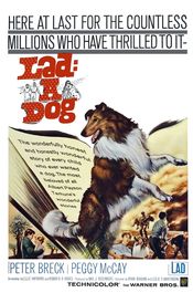 Poster Lad: A Dog