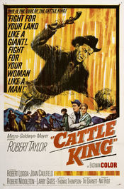 Poster Cattle King