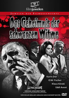 Das Geheimnis der schwarzen Witwe poster