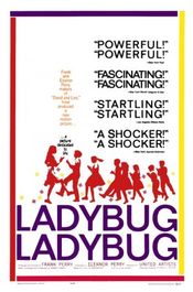 Poster Ladybug