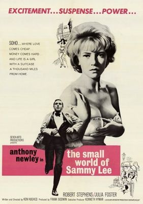 The Small World of Sammy Lee poster