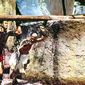 Ursus nella terra di fuoco/Ursus nella terra di fuoco