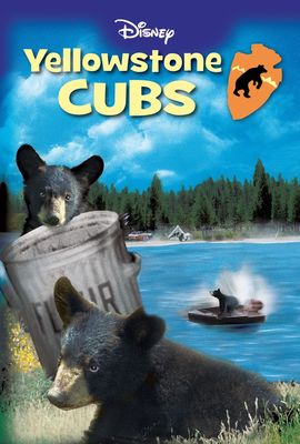 Yellowstone Cubs poster