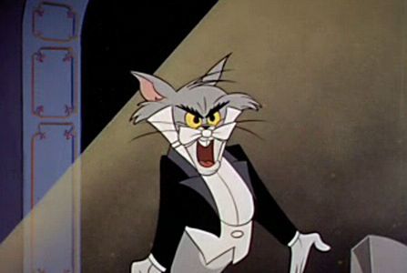 The Cat Above and the Mouse Below