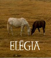 Poster Elégia