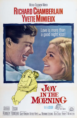 Joy in the Morning poster