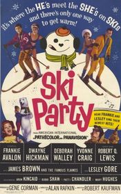 Poster Ski Party