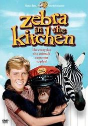 Poster Zebra in the Kitchen