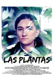 Poster Las plantas
