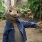Peter Rabbit/Peter Iepuraşul