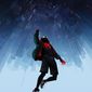 Poster 21 Spider-Man: Into the Spider-Verse