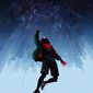 Poster 22 Spider-Man: Into the Spider-Verse