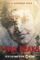 Film - Twin Peaks