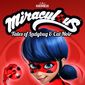 Poster 13 Miraculous Tales Of Ladybug And Cat Noir