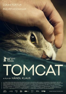 Kater poster