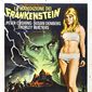 Poster 7 Frankenstein Created Woman