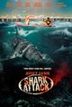 Film - Jersey Shore Shark Attack