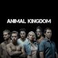 Poster 3 Animal Kingdom