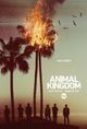 Film - Animal Kingdom