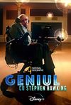 Genius by Stephen Hawking       