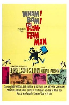 The Flim-Flam Man poster