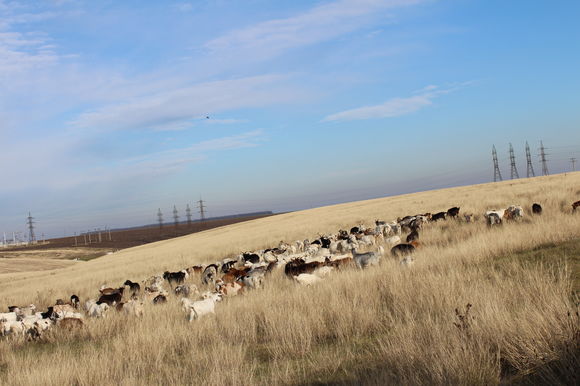 4:15 PM Sfârșitul Lumii