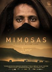 Poster Mimosas