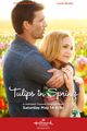 Film - Tulips for Rose