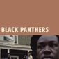 Poster 2 Black Panthers